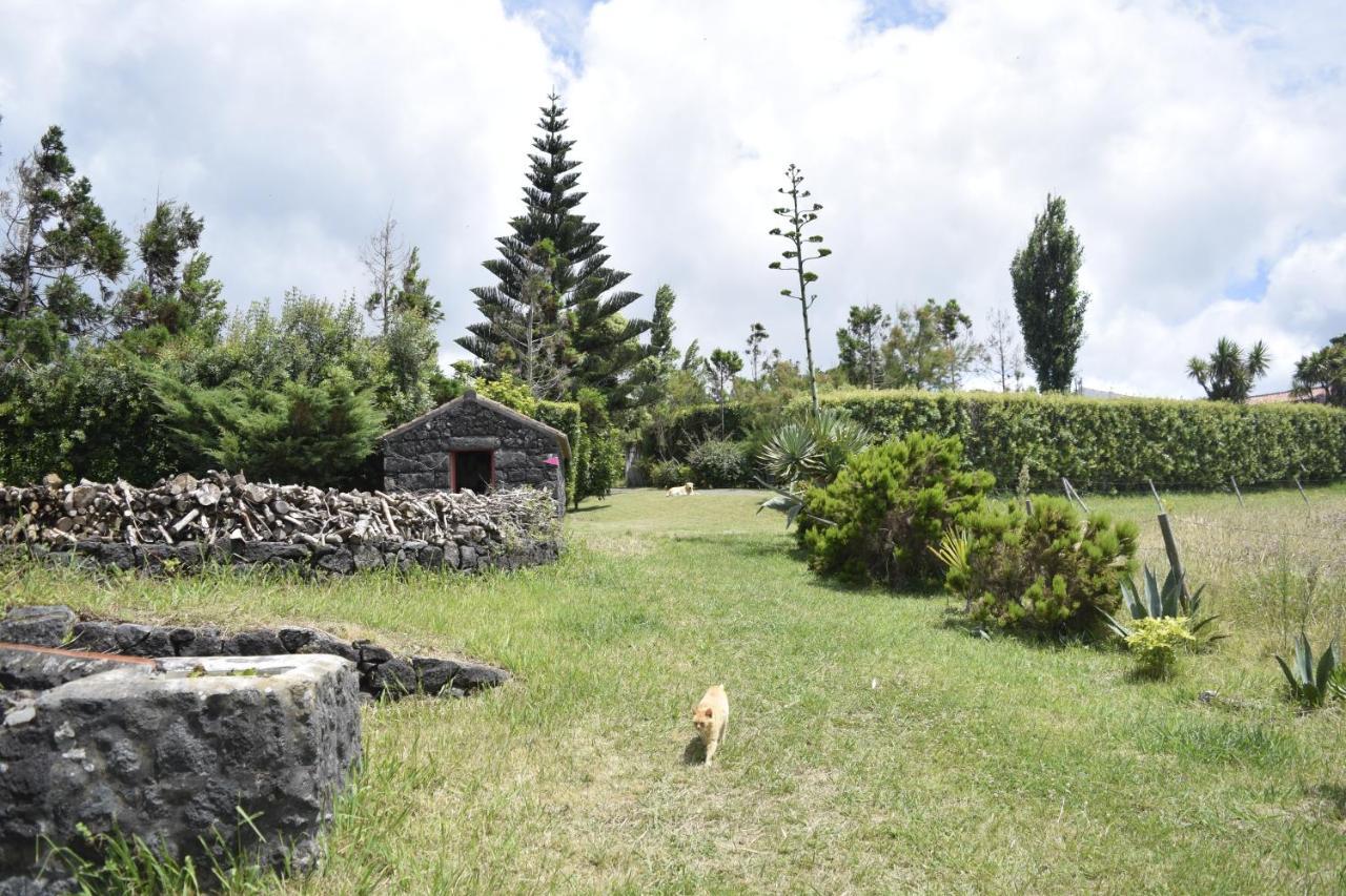 Castelo Branco  Quinta Da Meia Eira מראה חיצוני תמונה