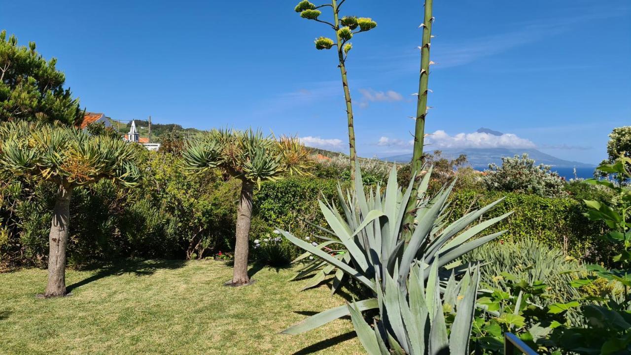 Castelo Branco  Quinta Da Meia Eira מראה חיצוני תמונה