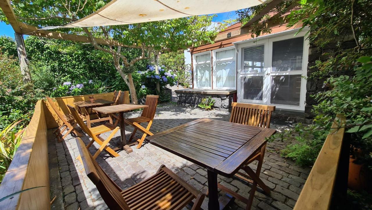 Castelo Branco  Quinta Da Meia Eira מראה חיצוני תמונה